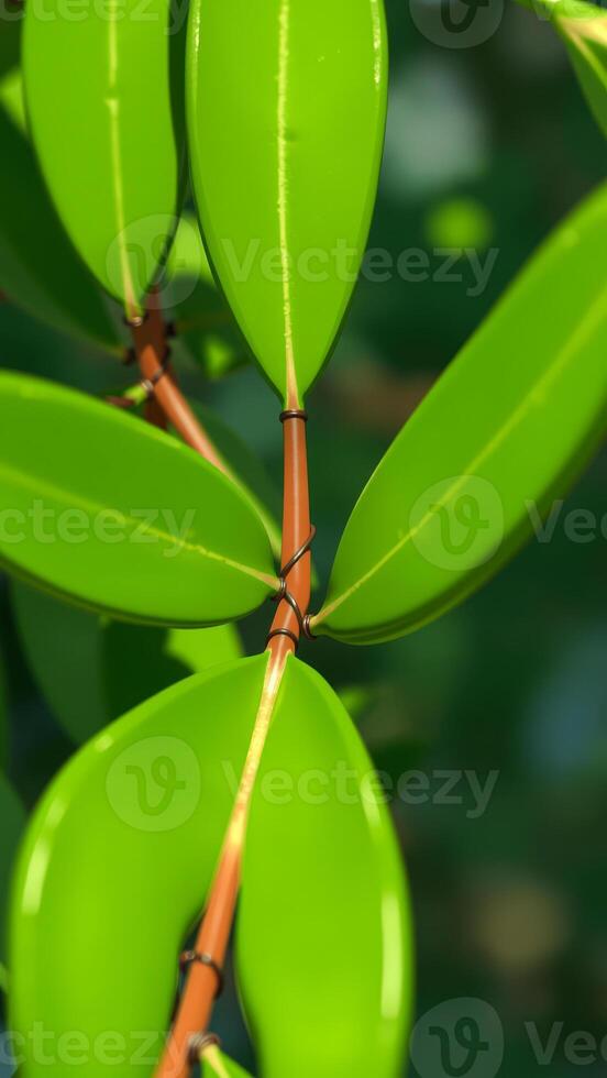 Green Leaf Closeup photo