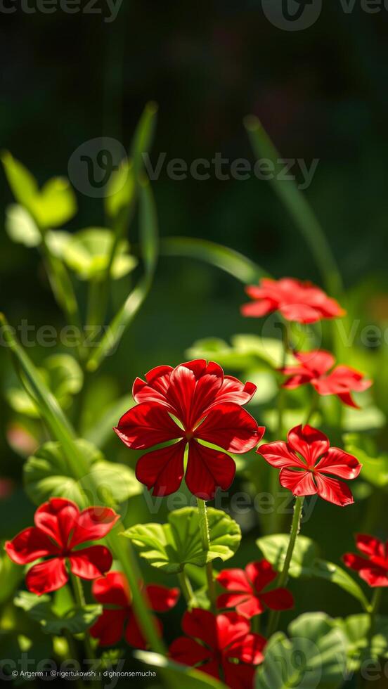 Red Flowers In Green Foliage photo