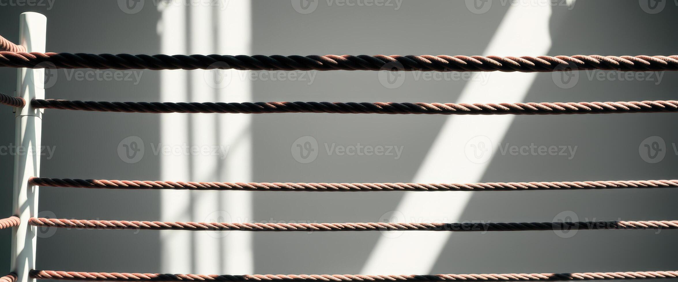 Boxing Ring Ropes with Sunlight photo