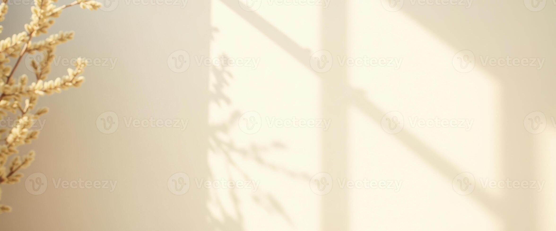 Sunlight and shadow on a wall with a sprig of flowers photo
