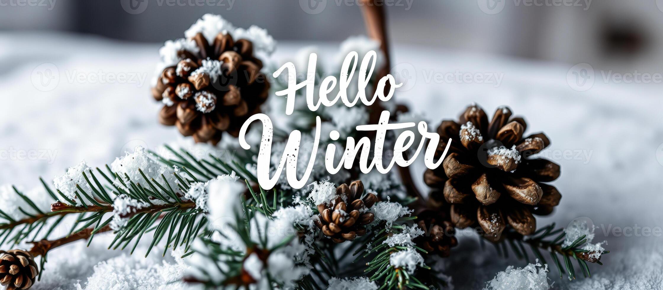 Hello Winter - Snow Covered Pine Cones photo