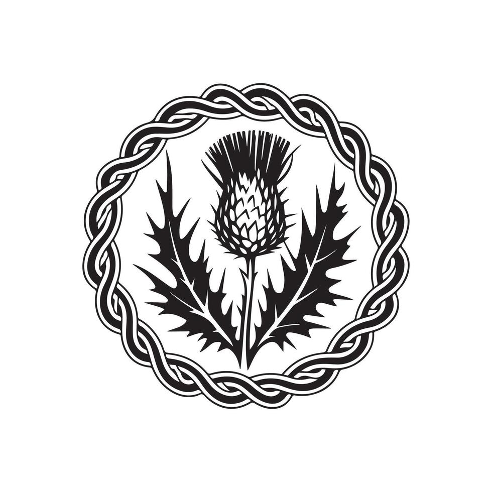 Thistle in a circle with a celtic knot vector