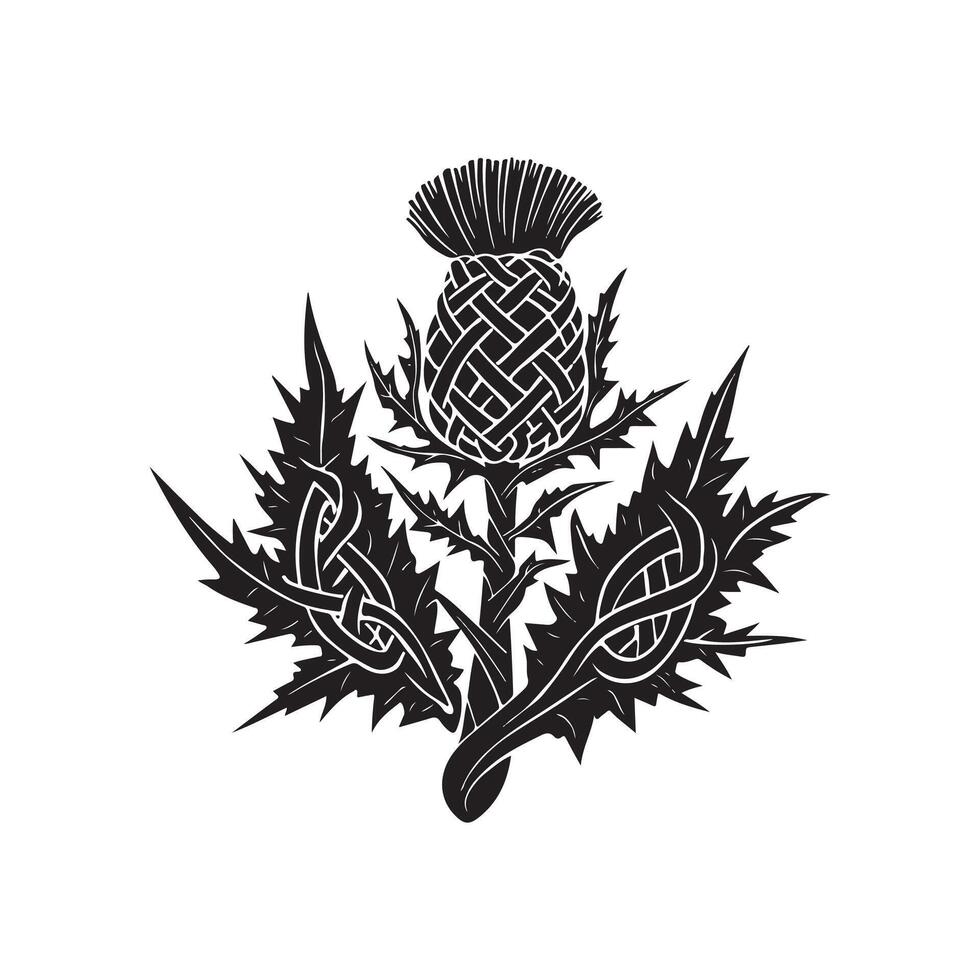 Thistle with celtic knot and leaves vector