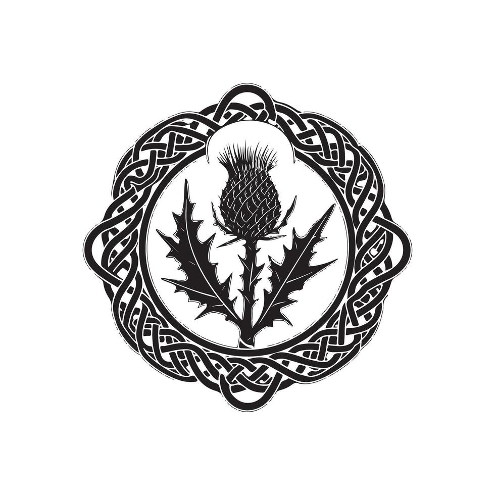 Thistle in celtic style with a black and white design vector