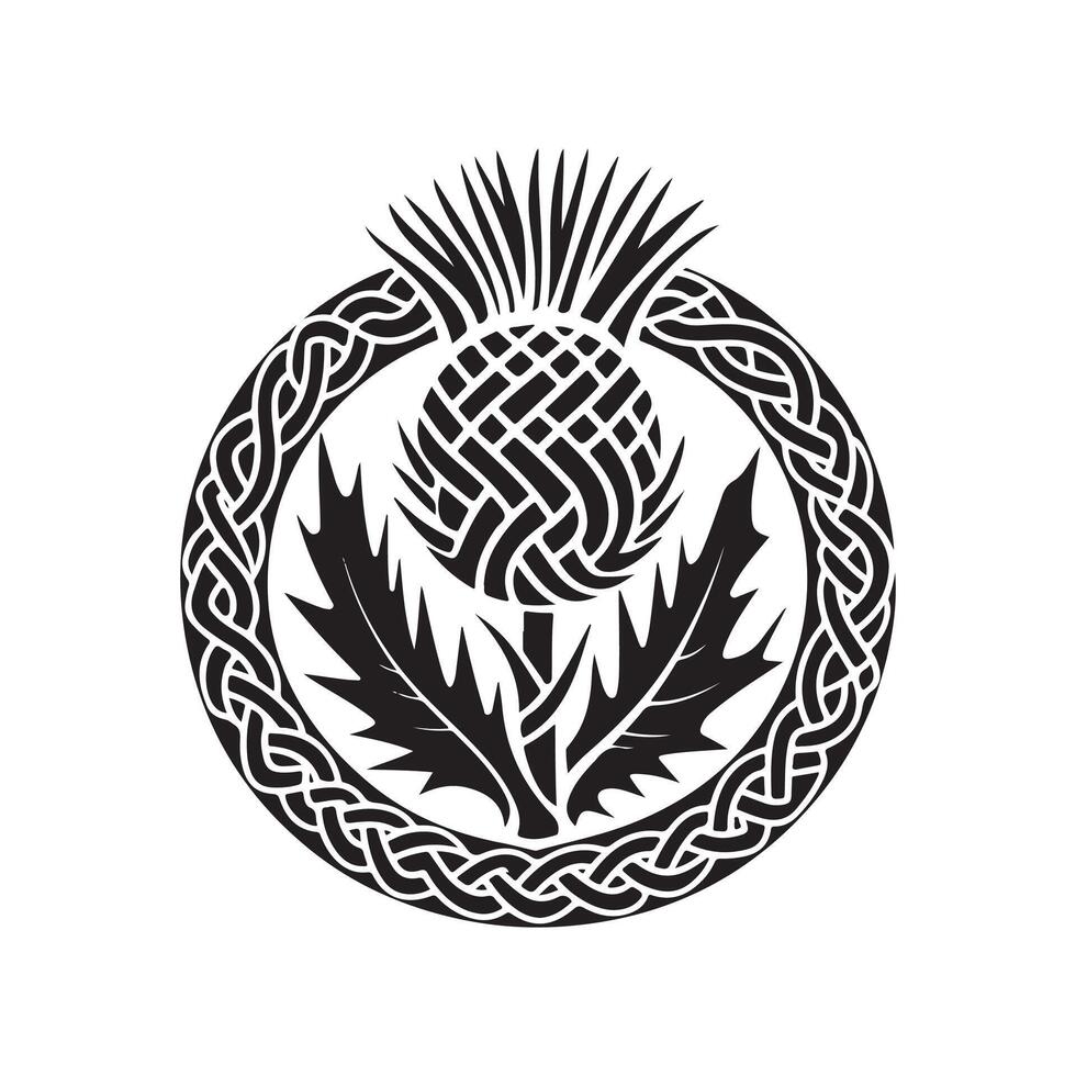 The celtic thistle is shown in a black and white design vector