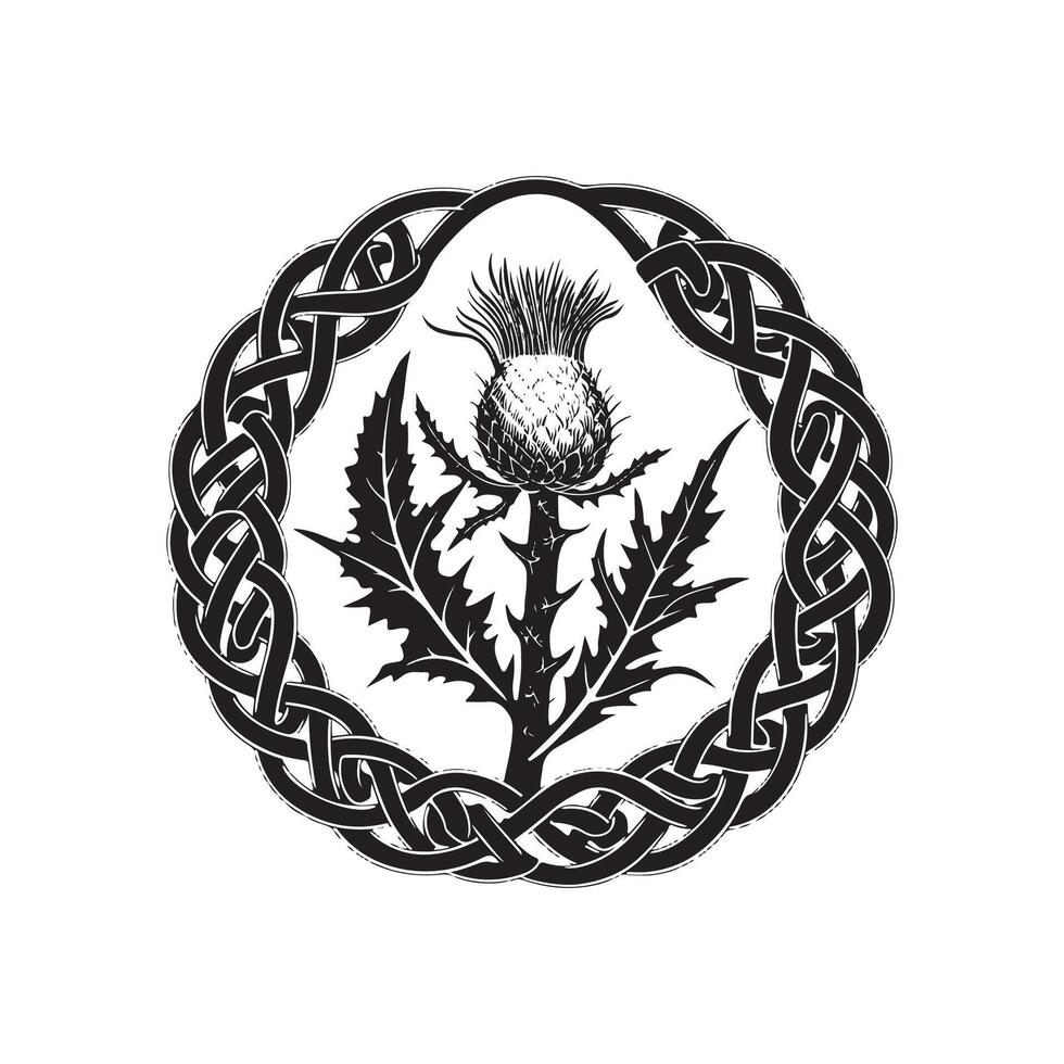 The celtic thistle is shown in a black and white design vector