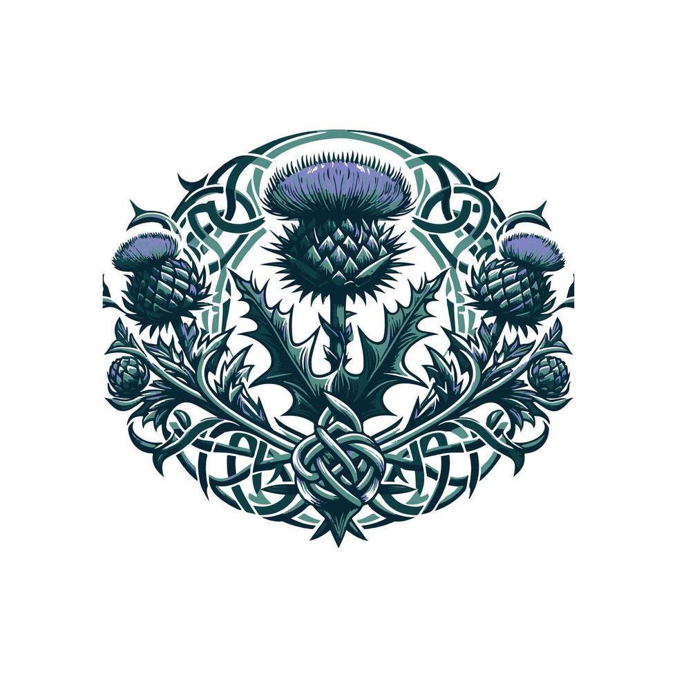 Thistle and celtic knot design vector