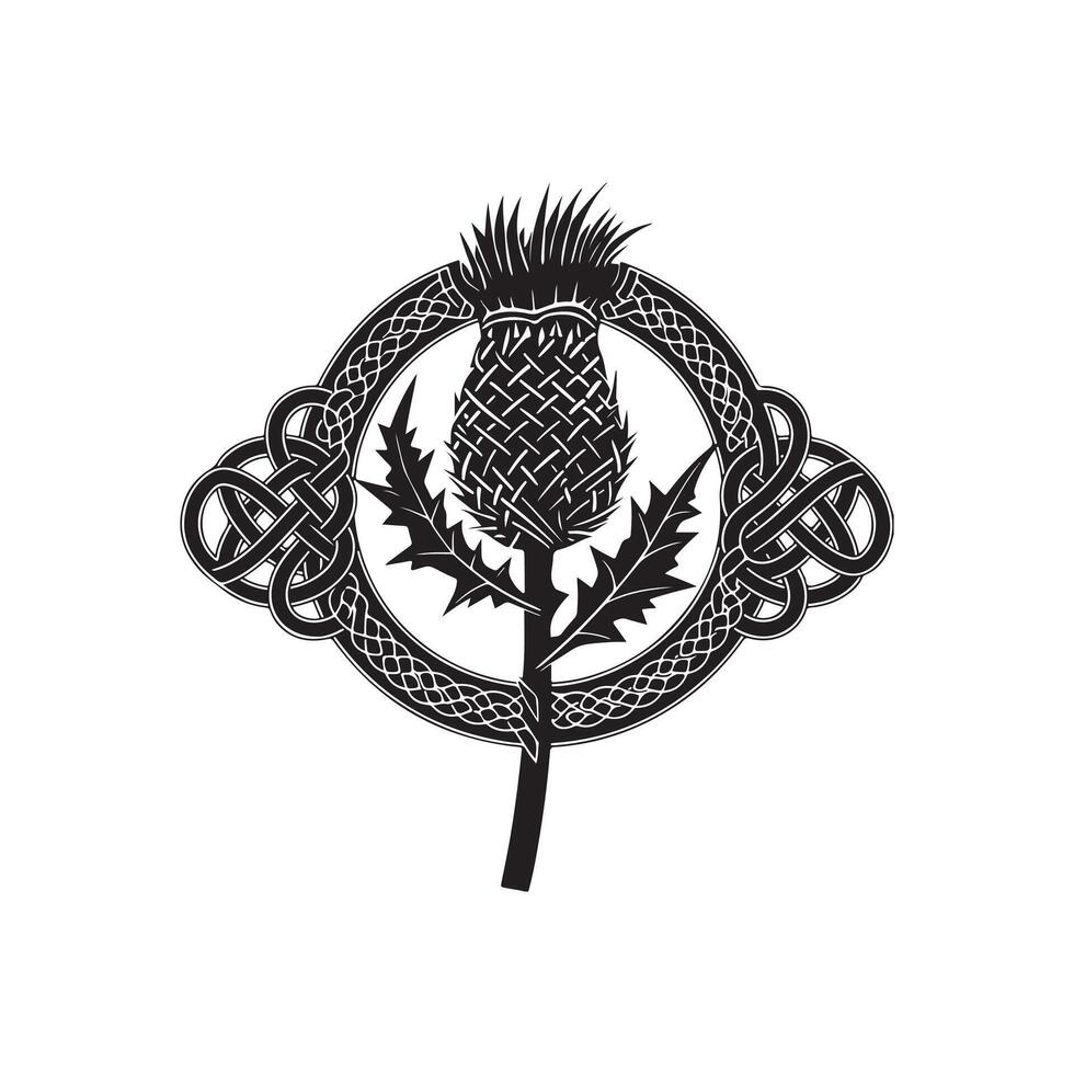 Thistle in celtic style with a black and white design vector