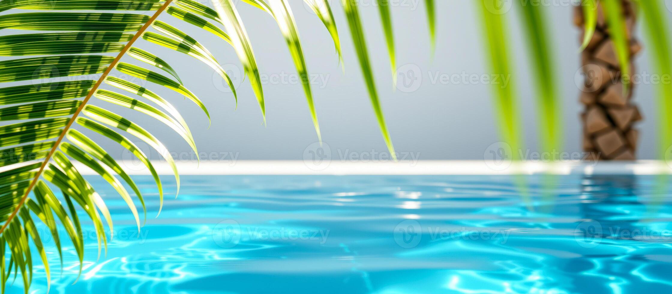 Palm leaves and blue pool water photo