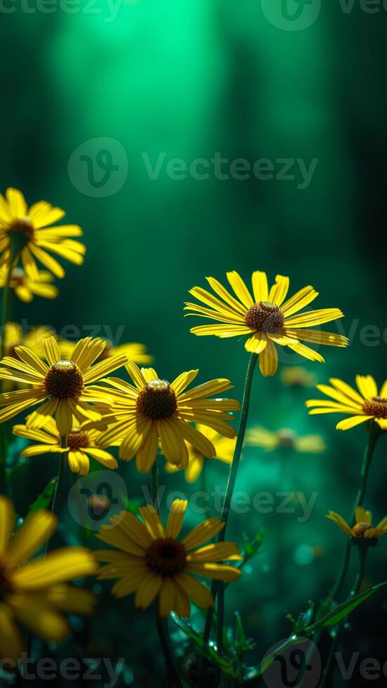 Yellow Flowers in a Green Field photo