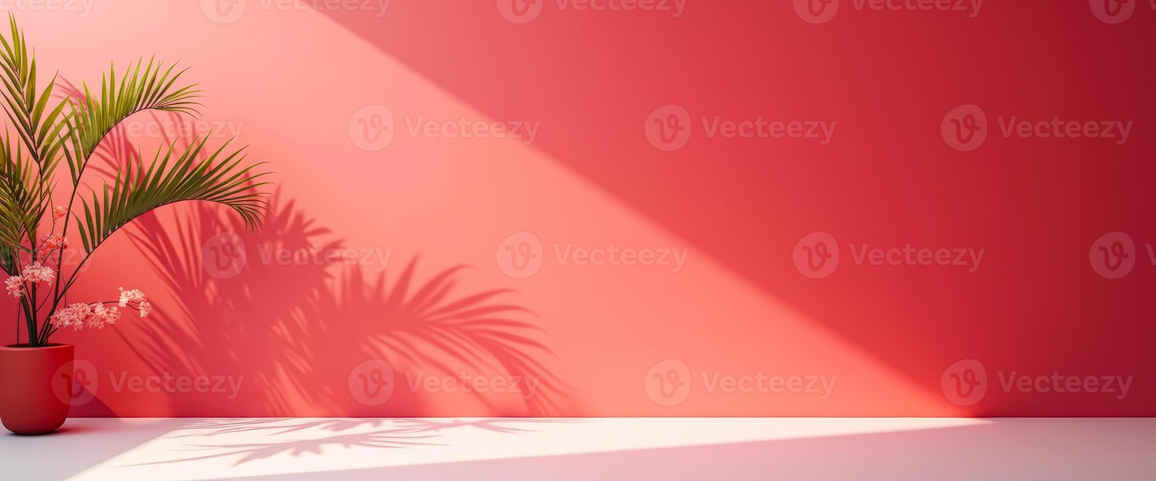 Minimalist red wall with palm tree shadow photo