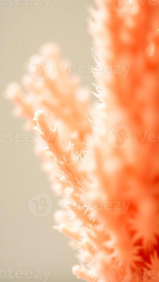 Coral Branch Close-up photo