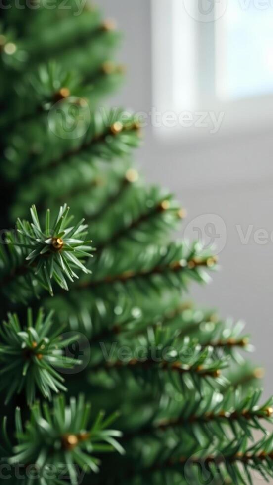 Close-up of Green Pine Tree Branch photo