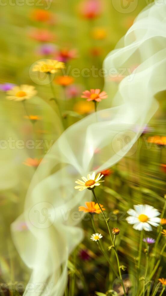 Blurred Flowers and White Fabric in a Meadow photo