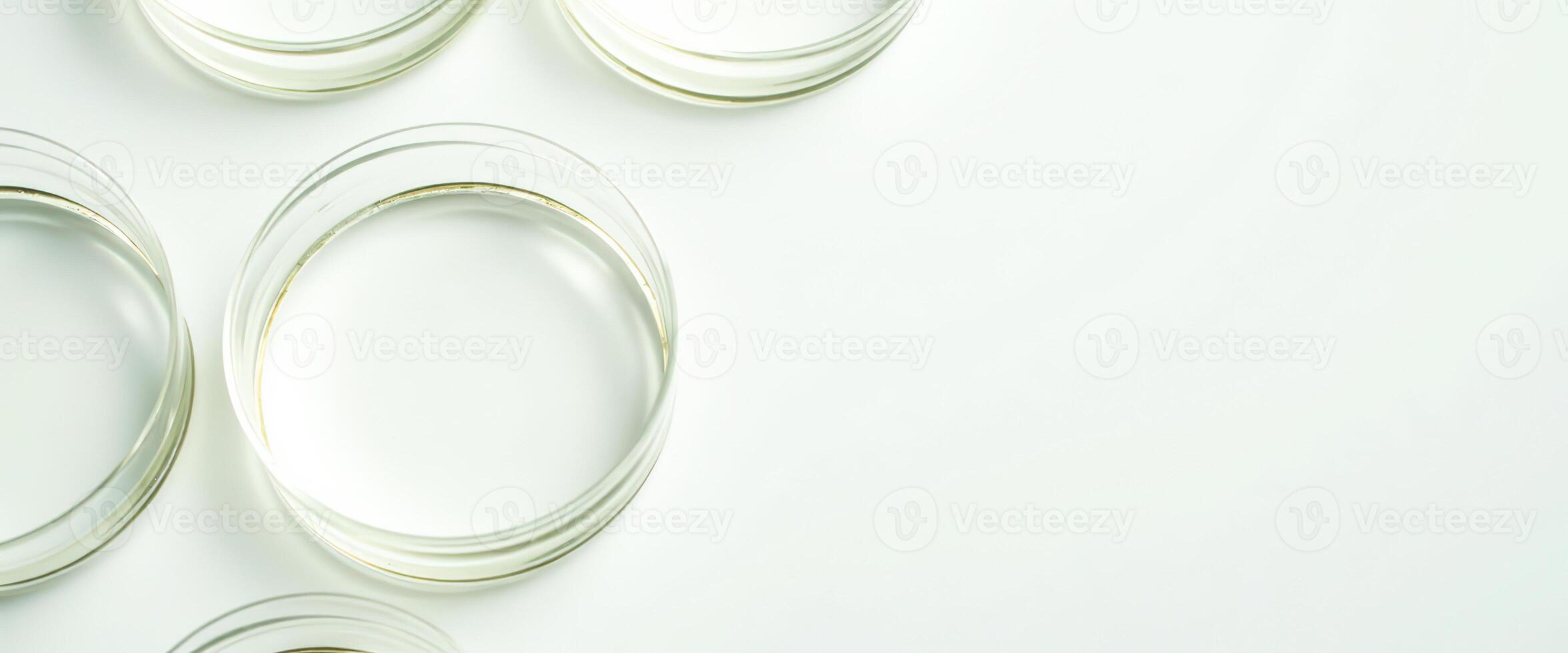 Empty petri dishes on a white background photo