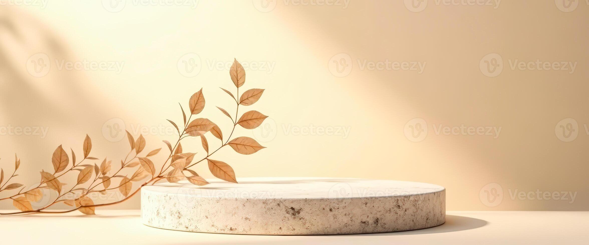 Minimalist Product Display with Natural Elements photo