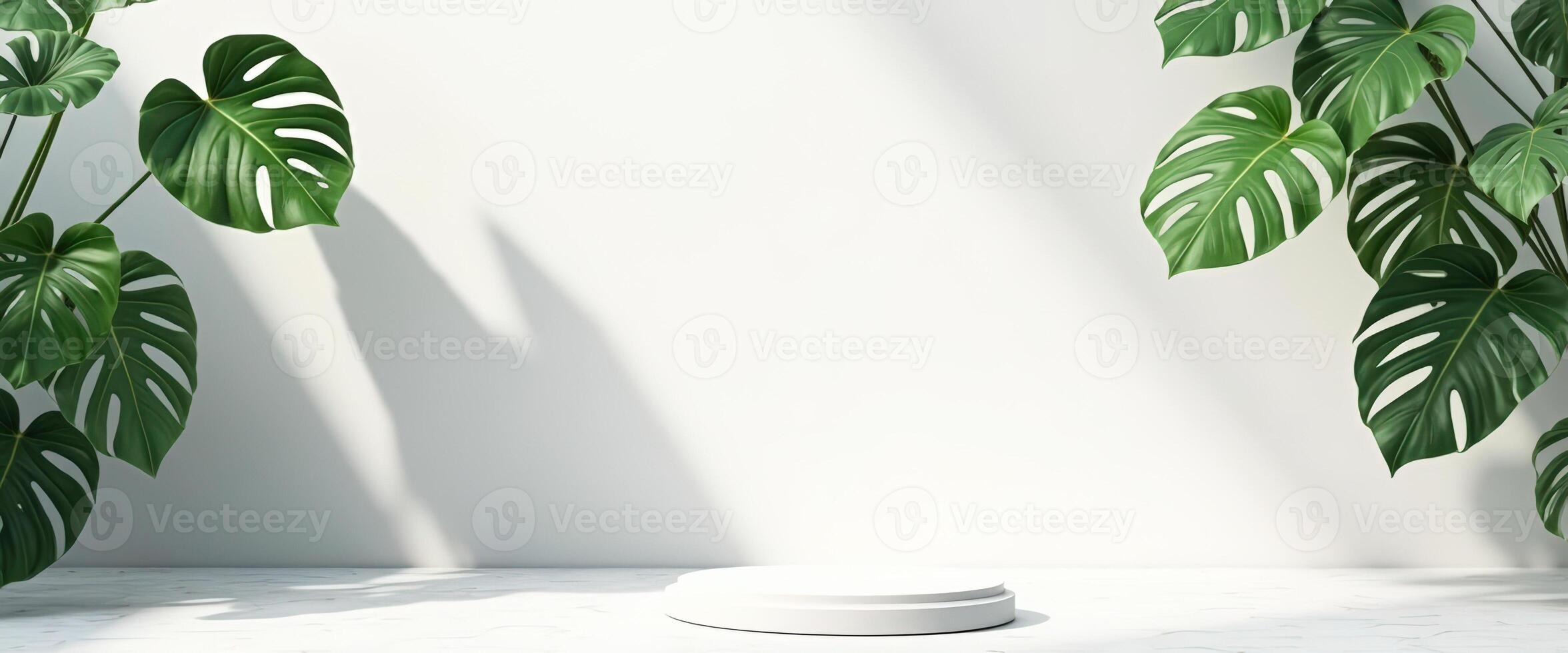 White Pedestal with Tropical Leaves on White Marble Background photo