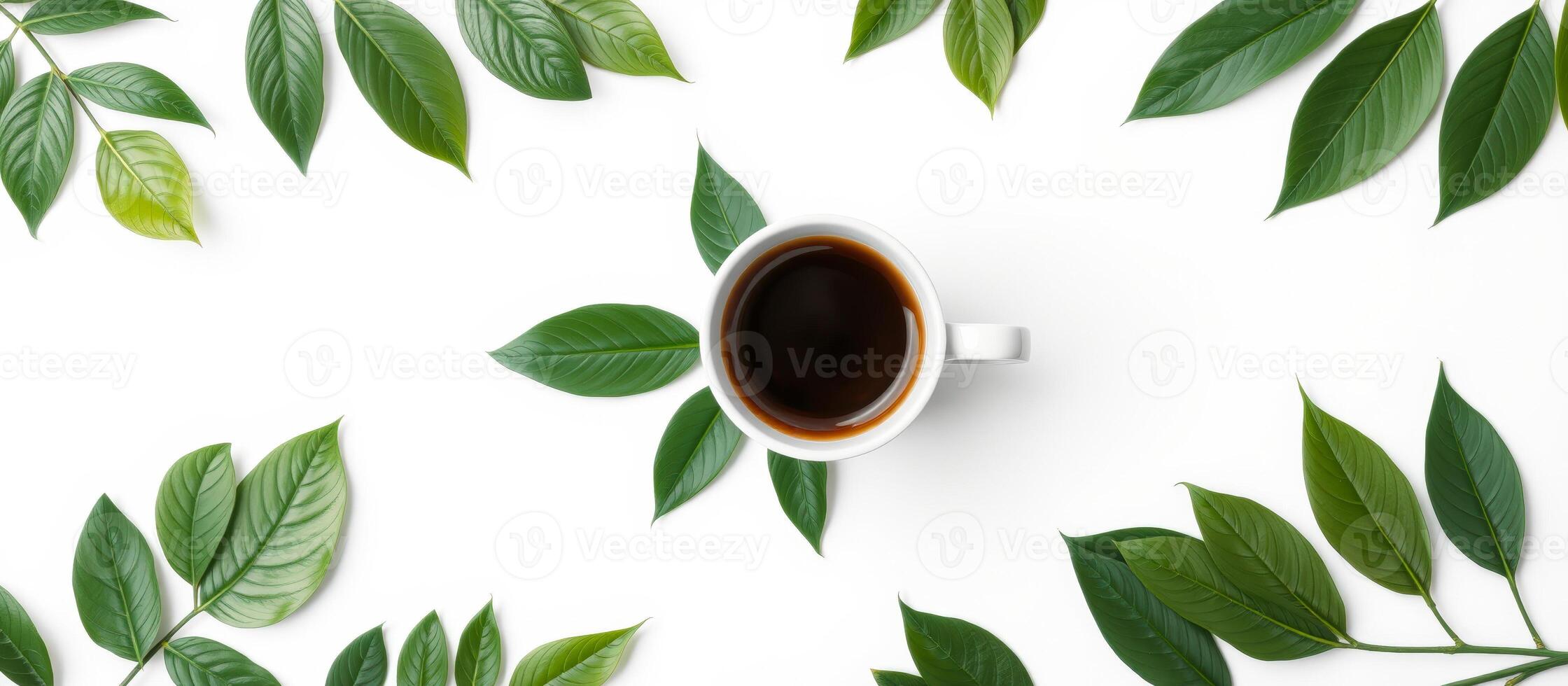 Cup of Coffee Surrounded by Green Leaves photo