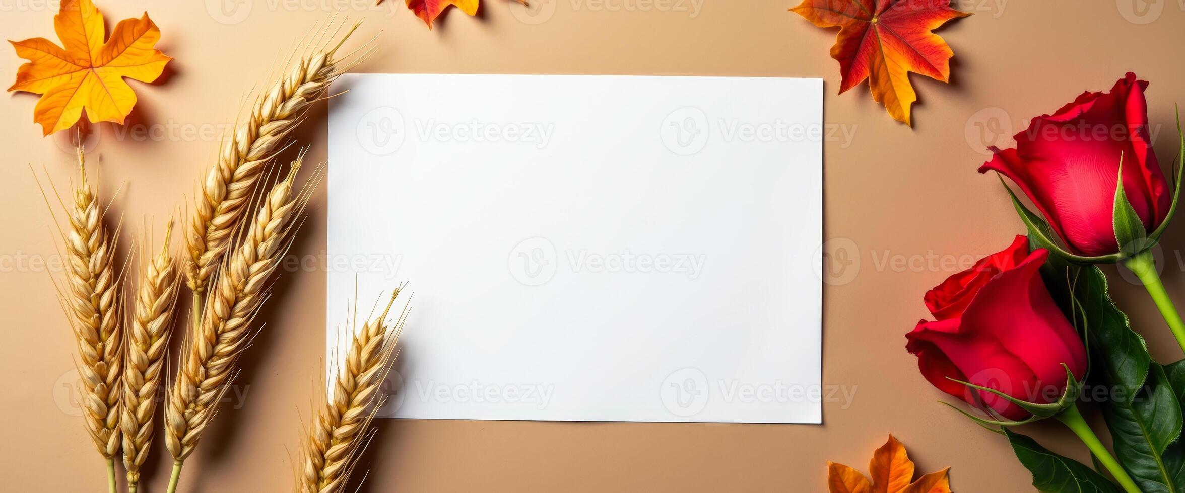 White Blank Card with Autumn Leaves and Wheat photo