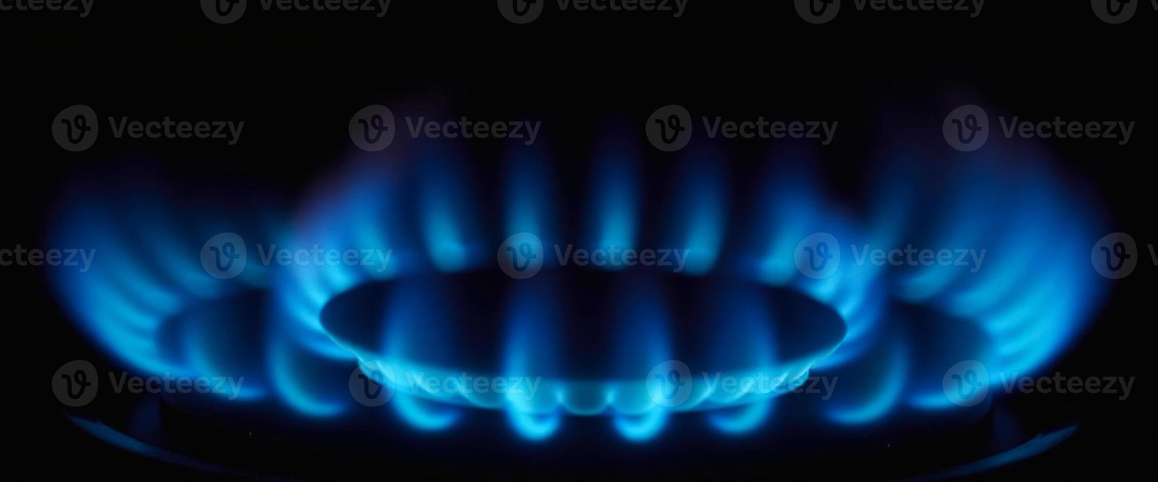 Blue Flames of a Gas Stove Burner photo