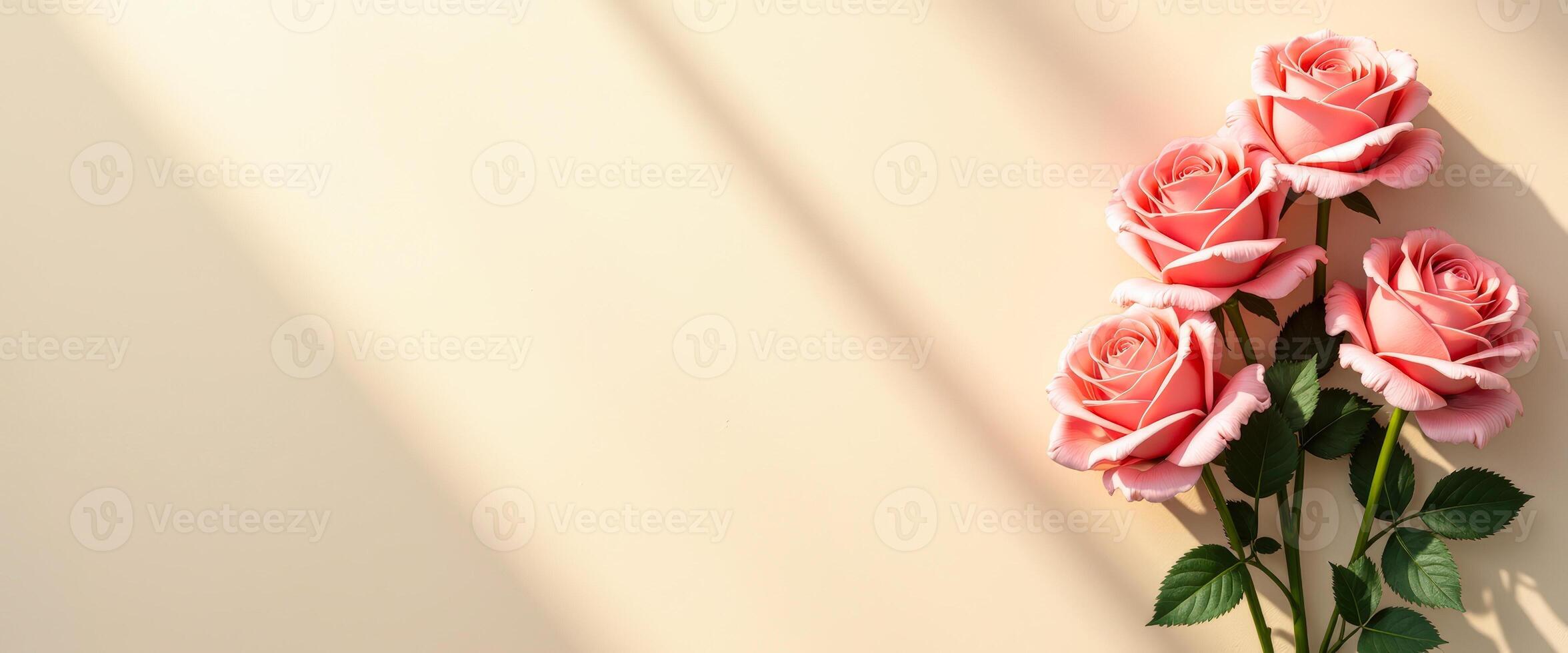 Pink Roses on Beige Background with Shadow photo