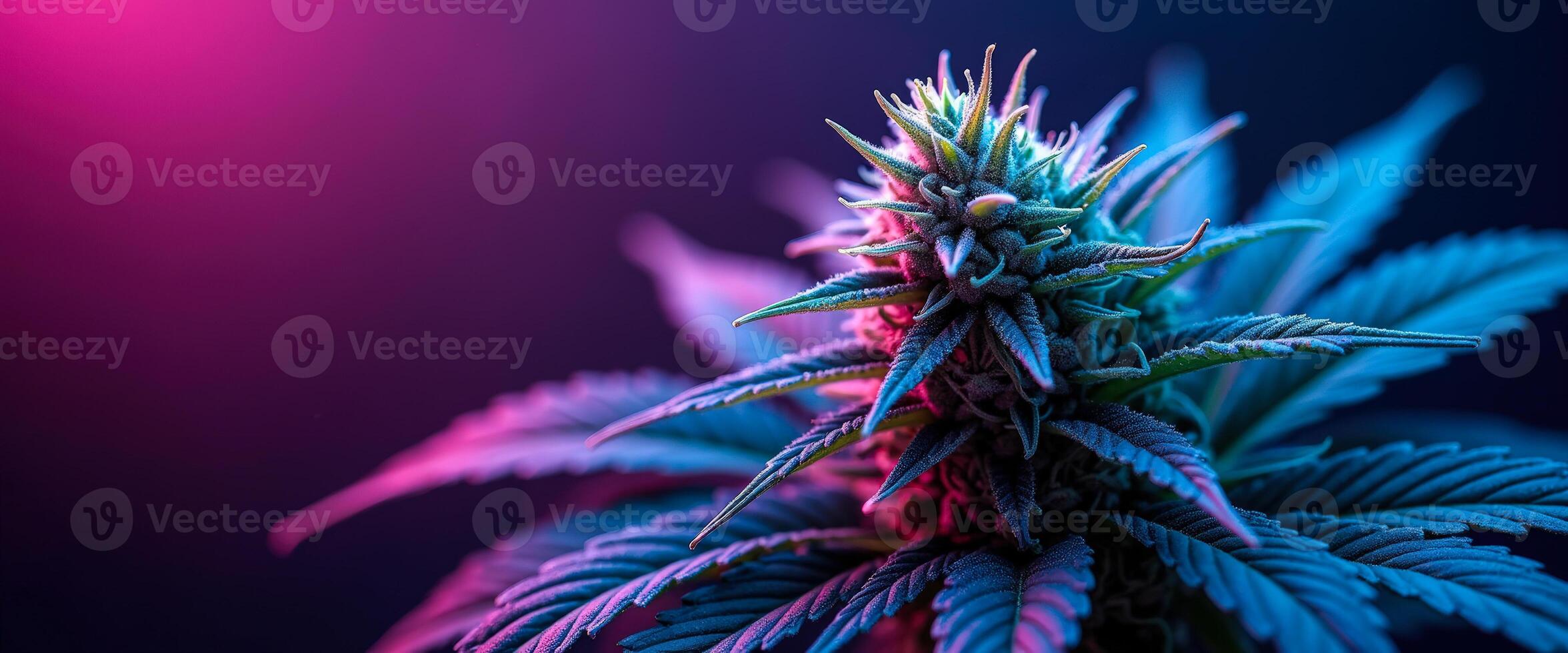 Marijuana Bud in Neon Lights photo