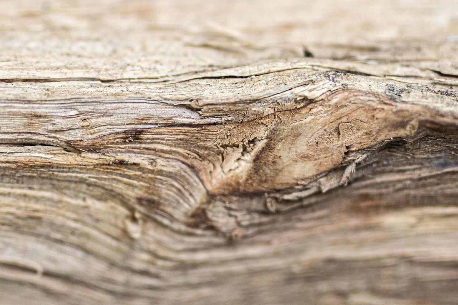 Background Realistic texture of objects around our lives photo
