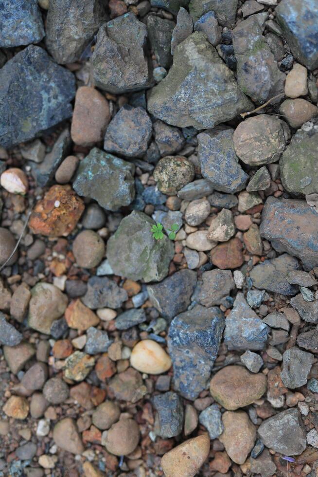 Background Realistic texture of objects around our lives photo