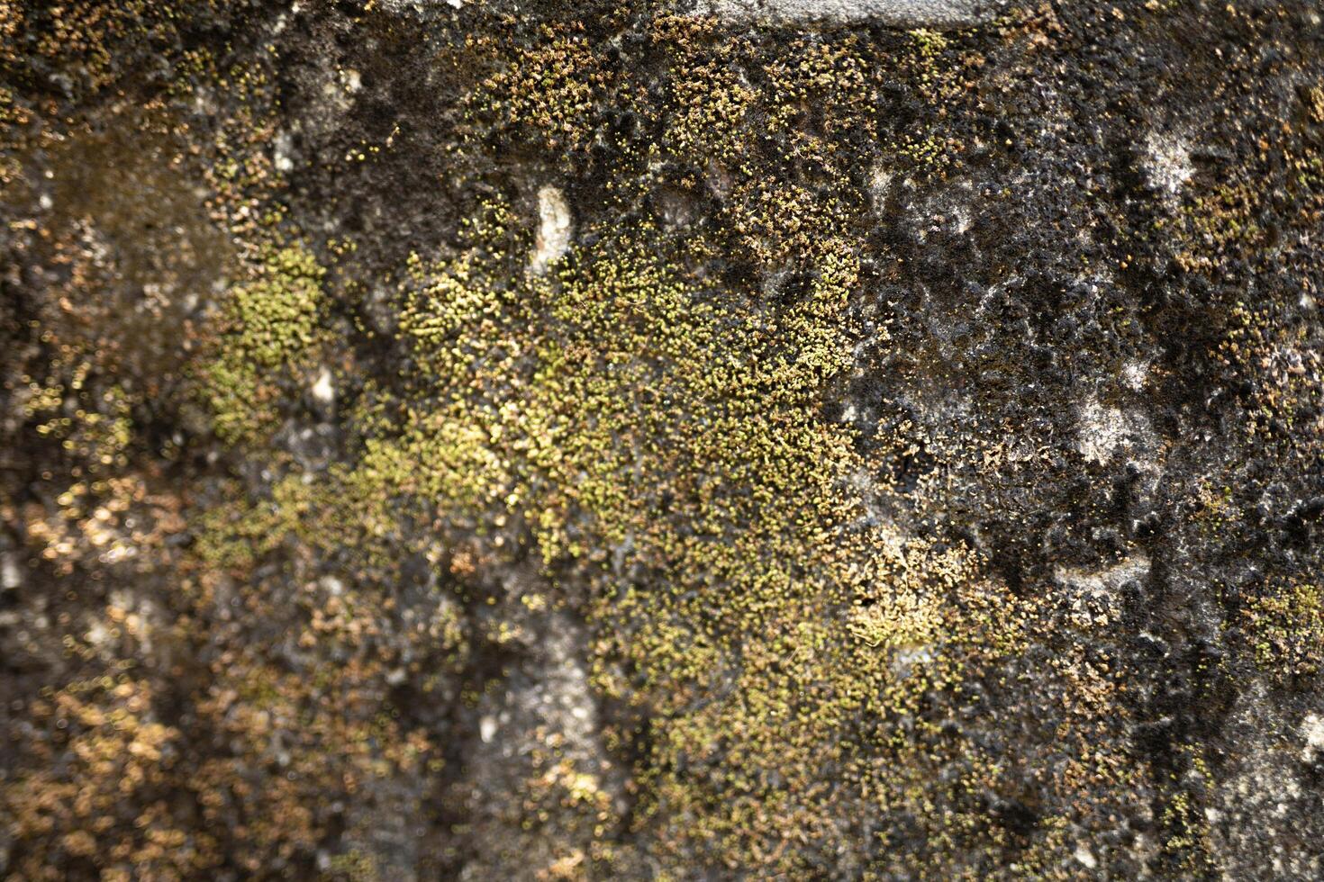 Background Realistic texture of objects around our lives photo