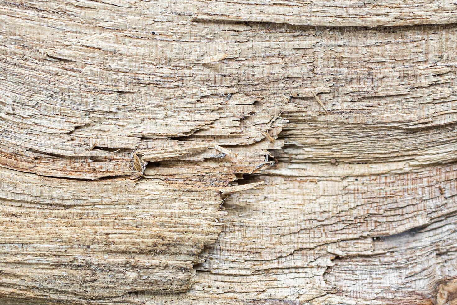 Background Realistic texture of objects around our lives photo