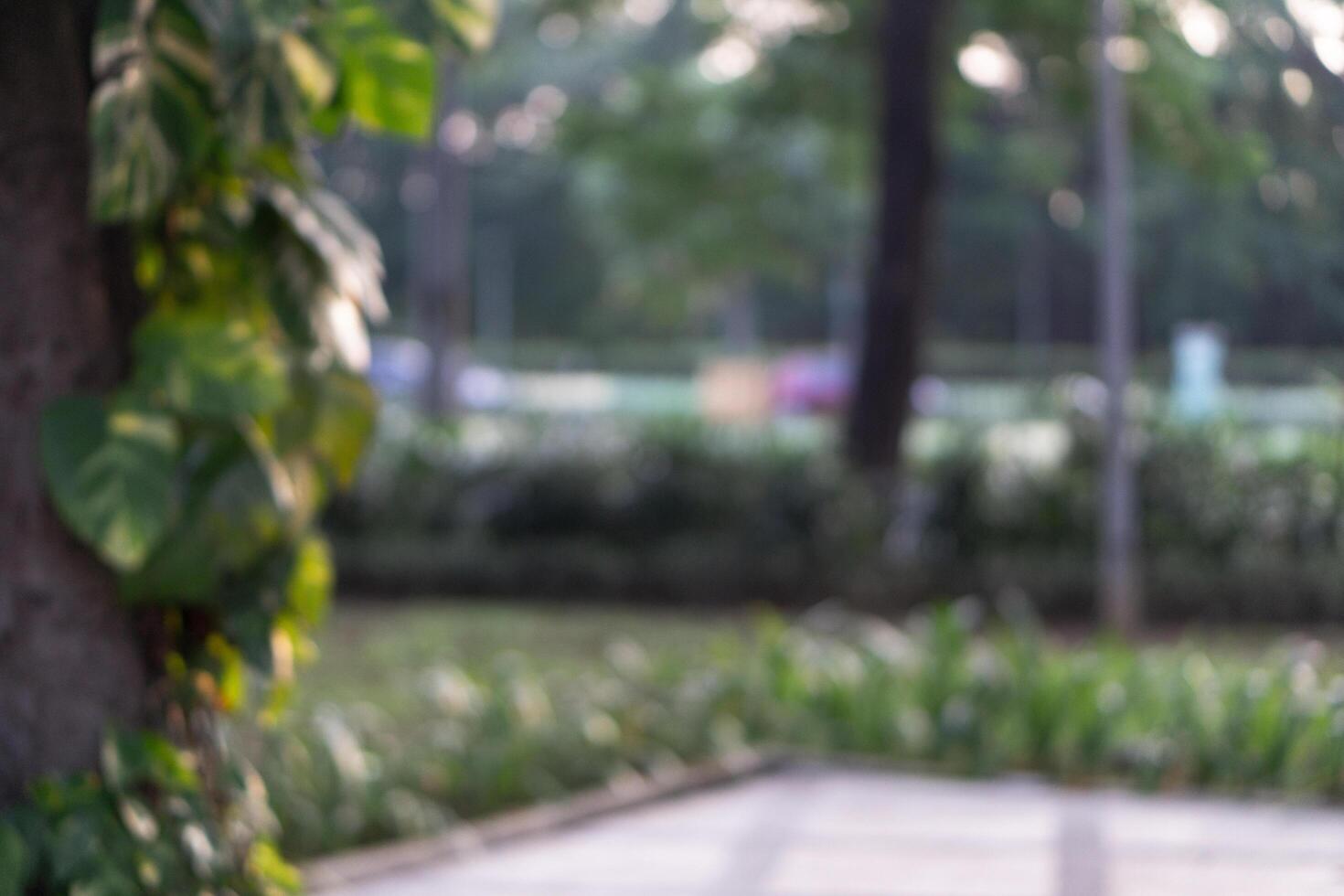 Blurry background of public park outdoors surrounded by trees and sidewalk photo