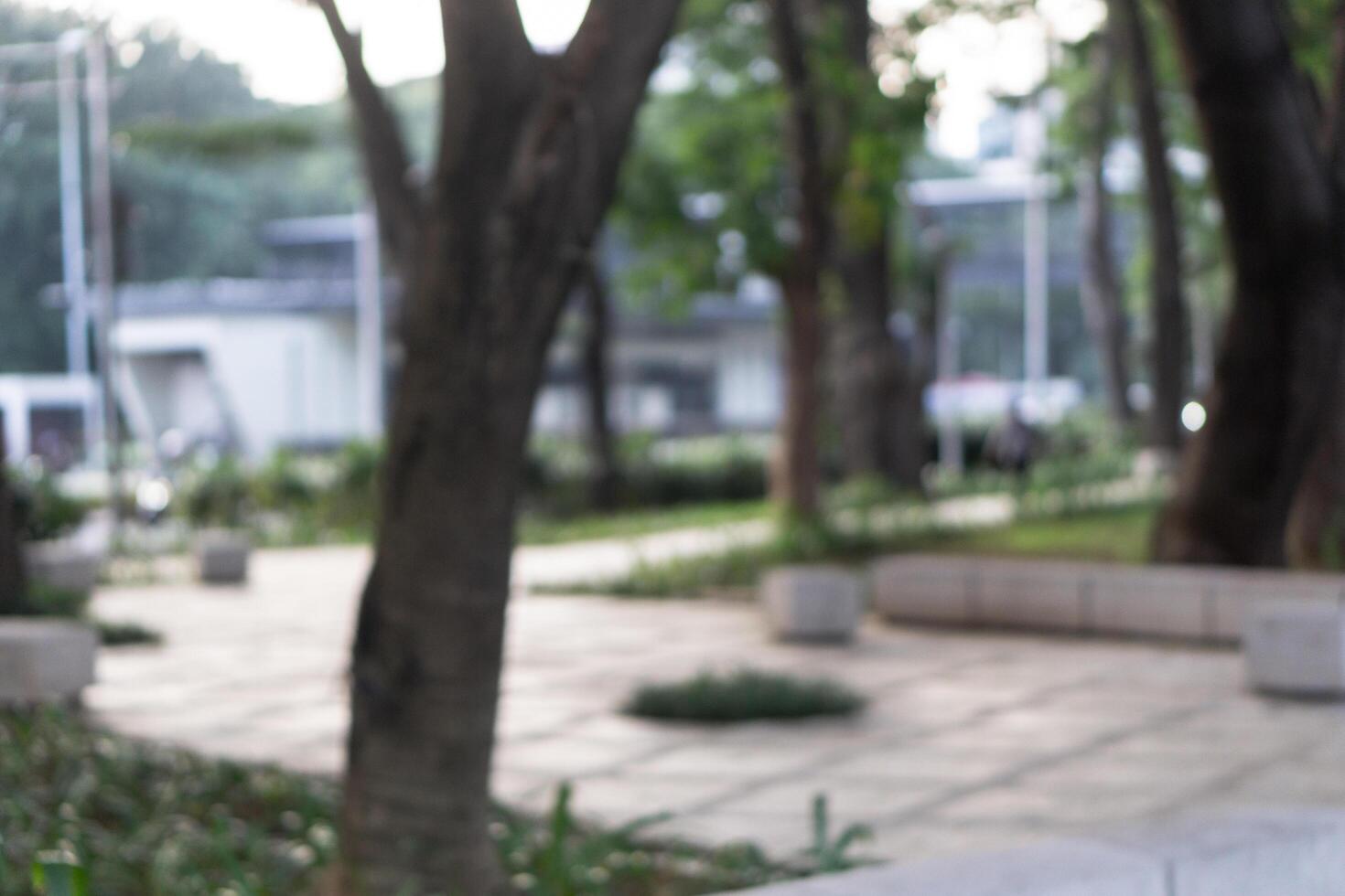Blurry background of public park outdoors surrounded by trees and sidewalk photo