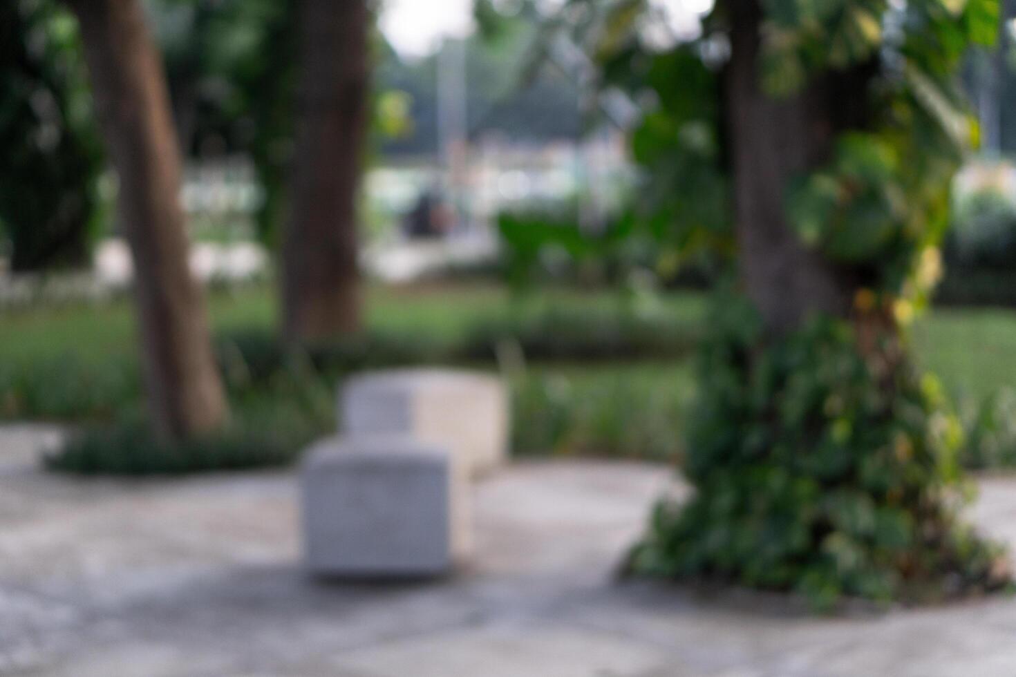 Blurry background of public park outdoors surrounded by trees and sidewalk photo