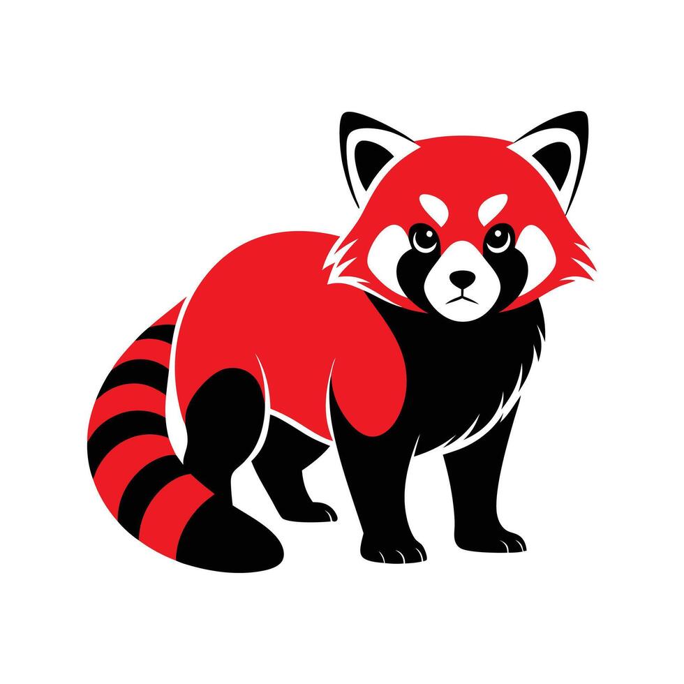 Red panda illustration vector