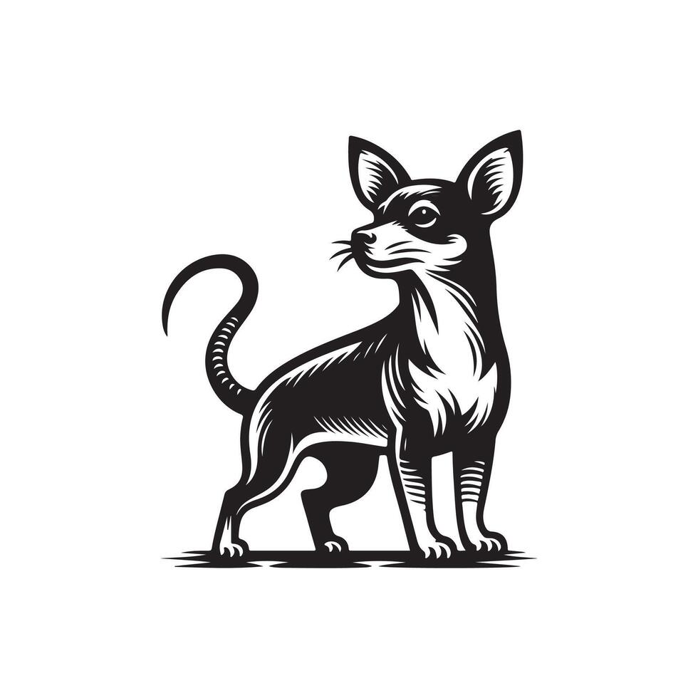 A black and white illustration of a chihuahua dog vector