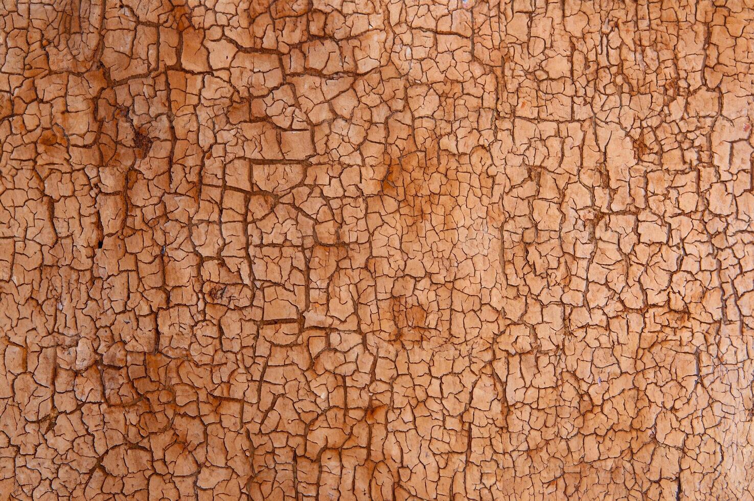 Vintage Green Wooden Fence with Cracked Paint Texture photo