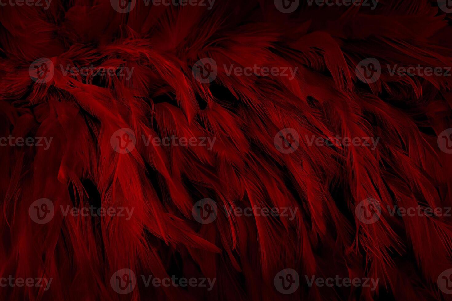 Close-Up of Dark Red Bird Feathers Texture Background photo
