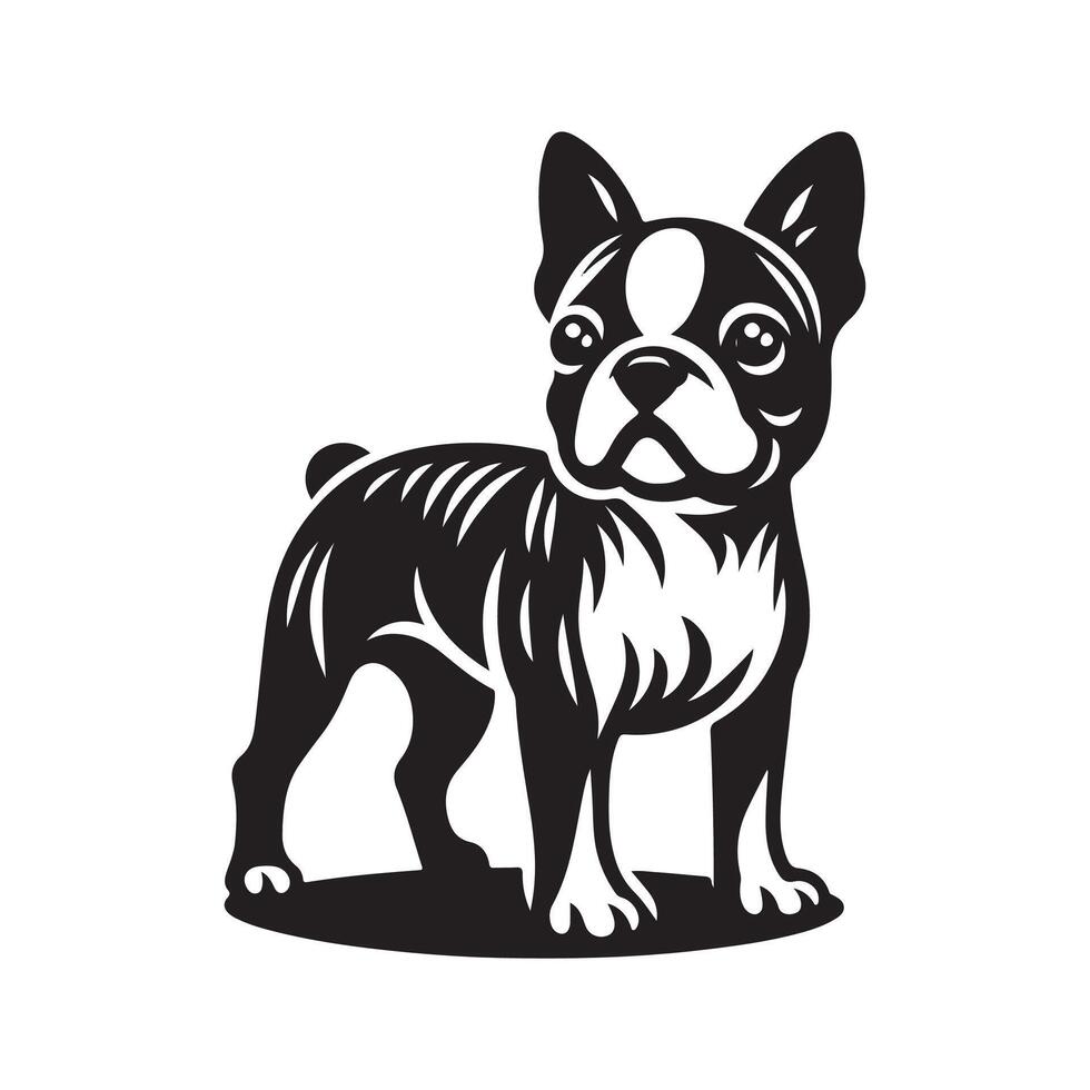 A black and white illustration of a boston terrier vector