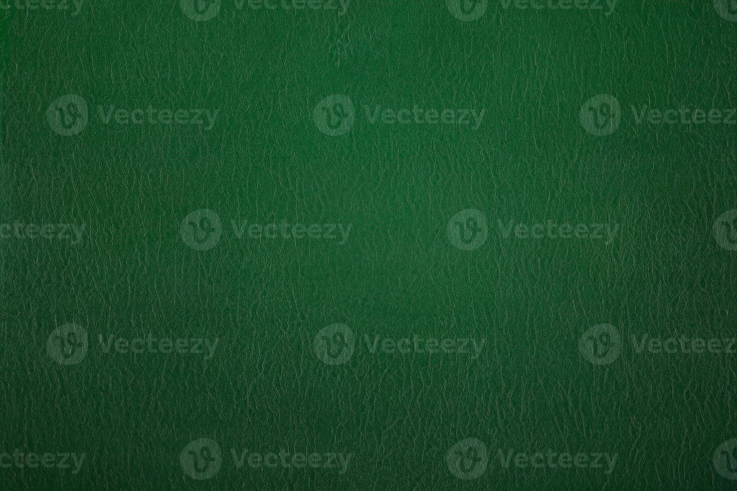 Natural Green Leather Texture Background photo
