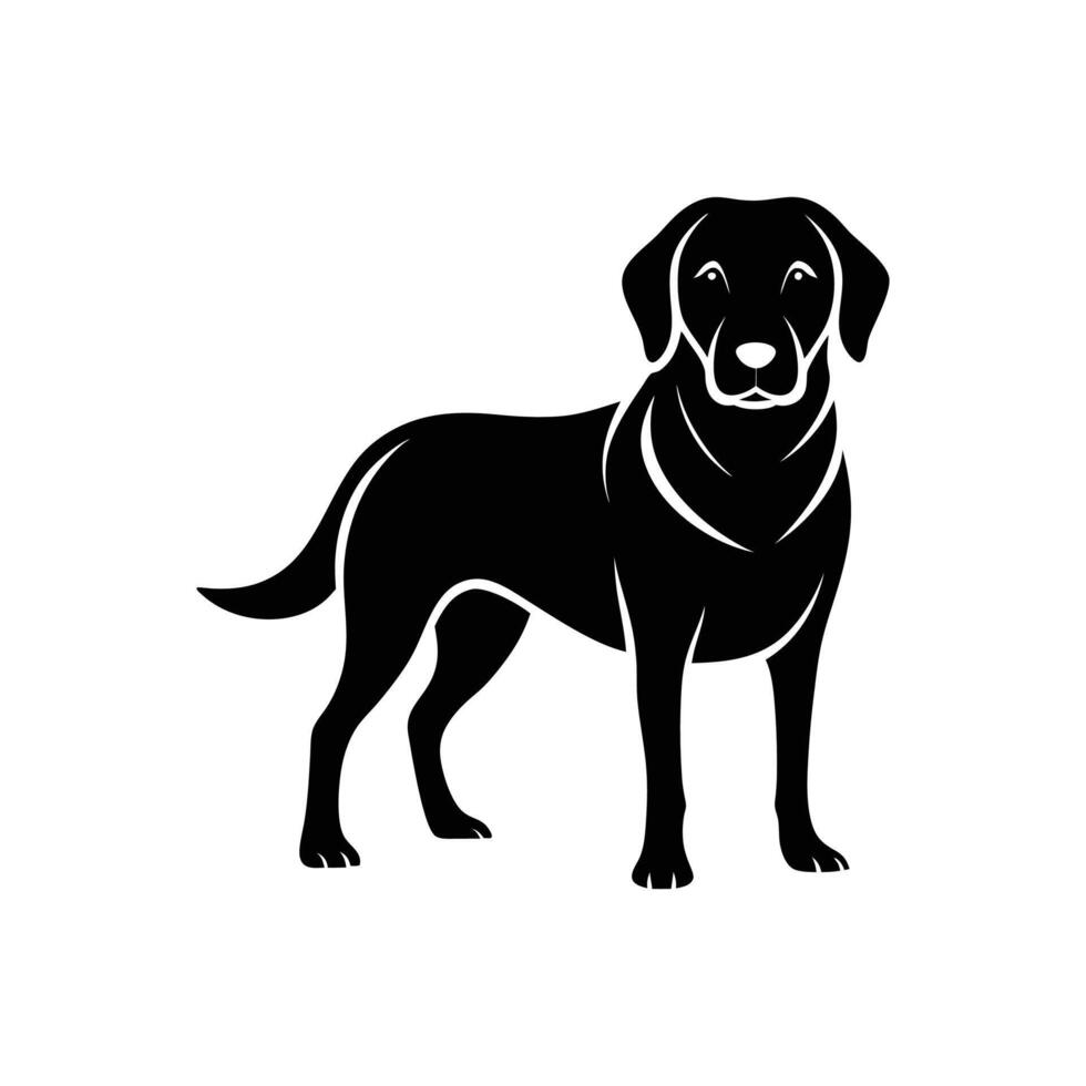 Black labrador dog on white background vector
