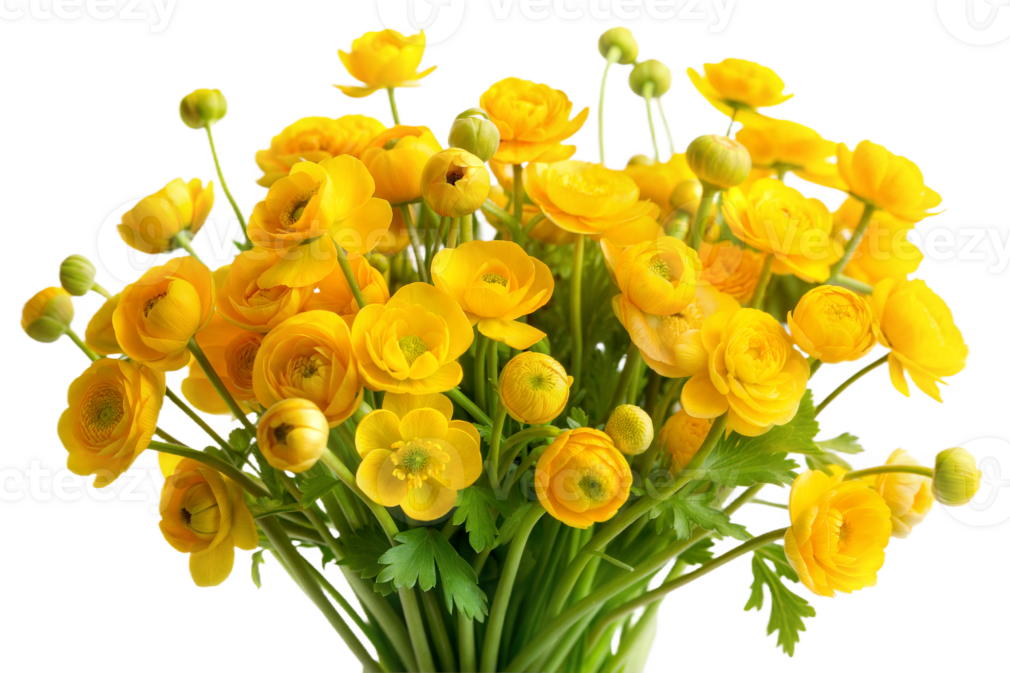 Yellow Buttercup Bouquet png