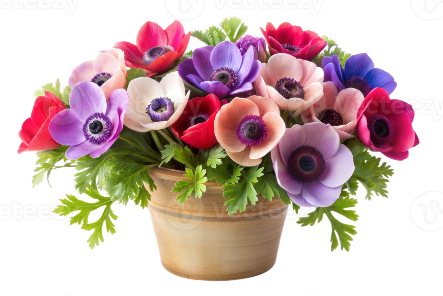 Beautiful Bouquet of Anemone Flowers in a Pot png