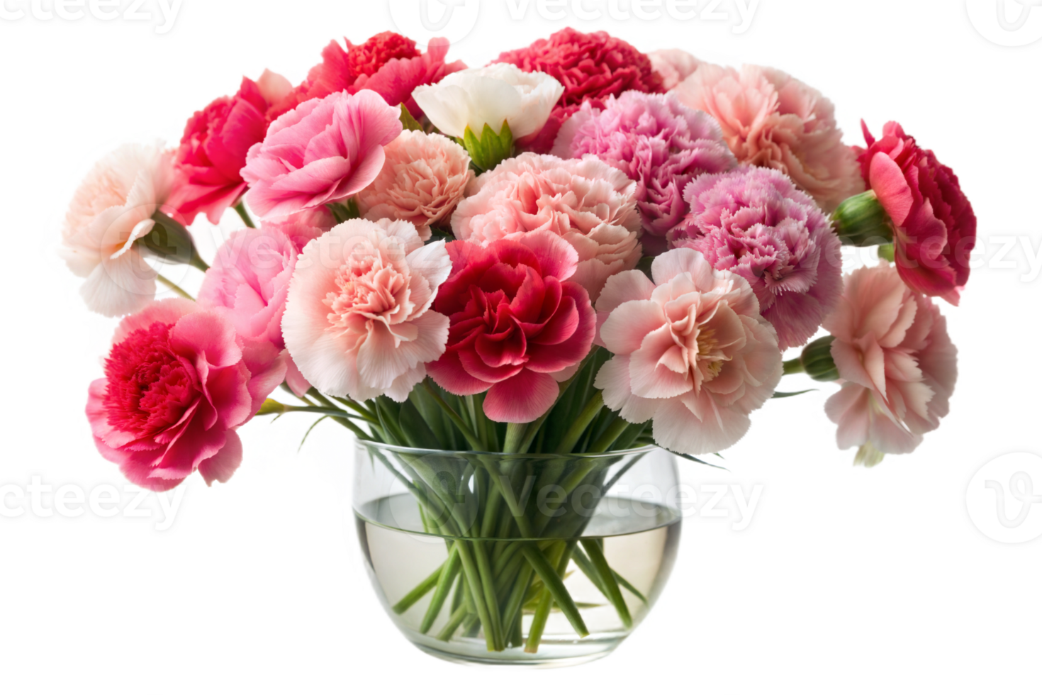 Carnation Bouquet in Vase png