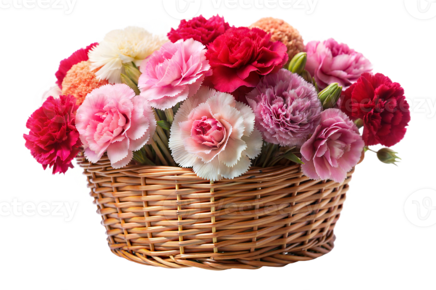 Carnation Bouquet in Basket png
