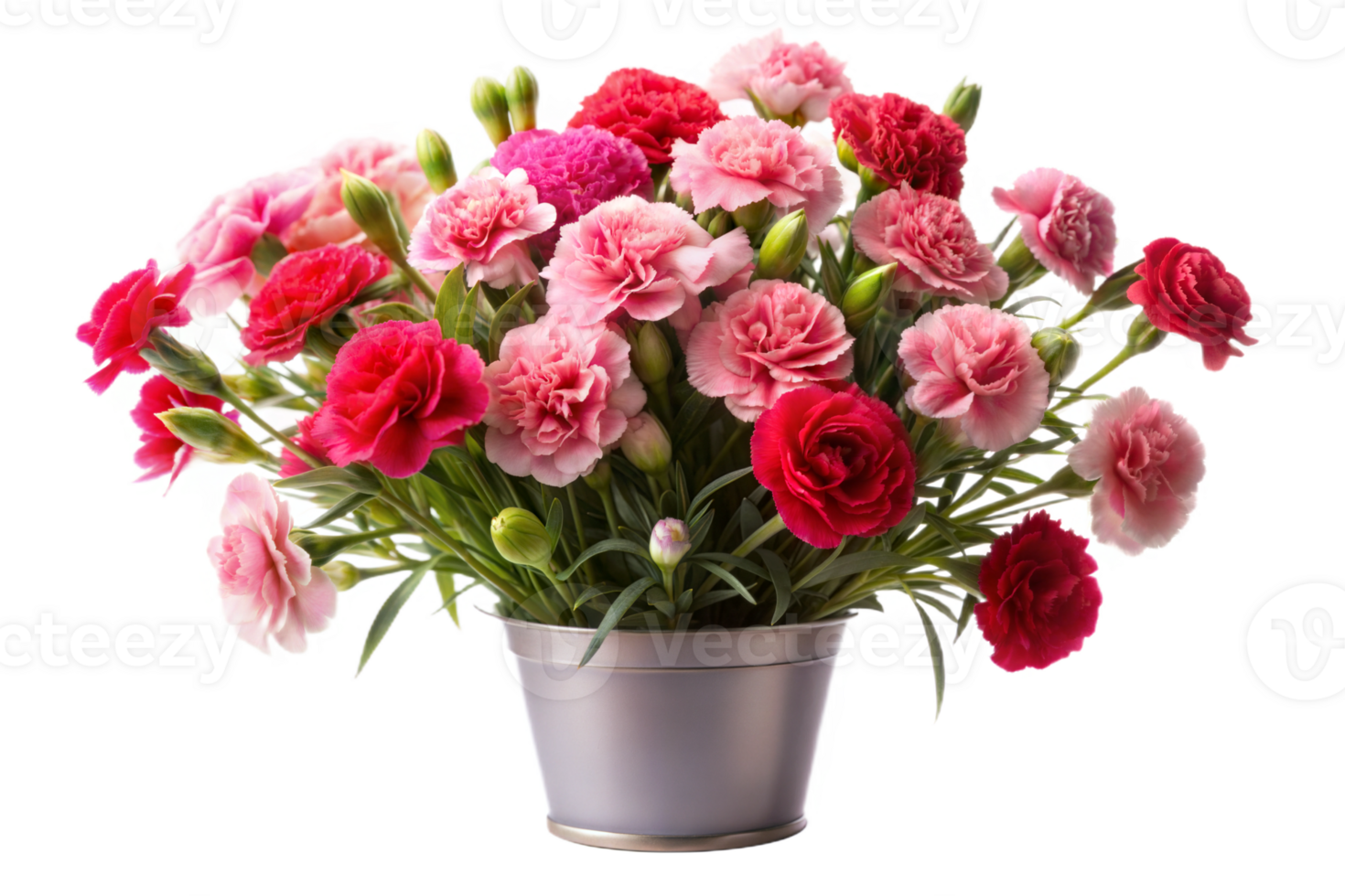 Bouquet of Carnations in a Pot png