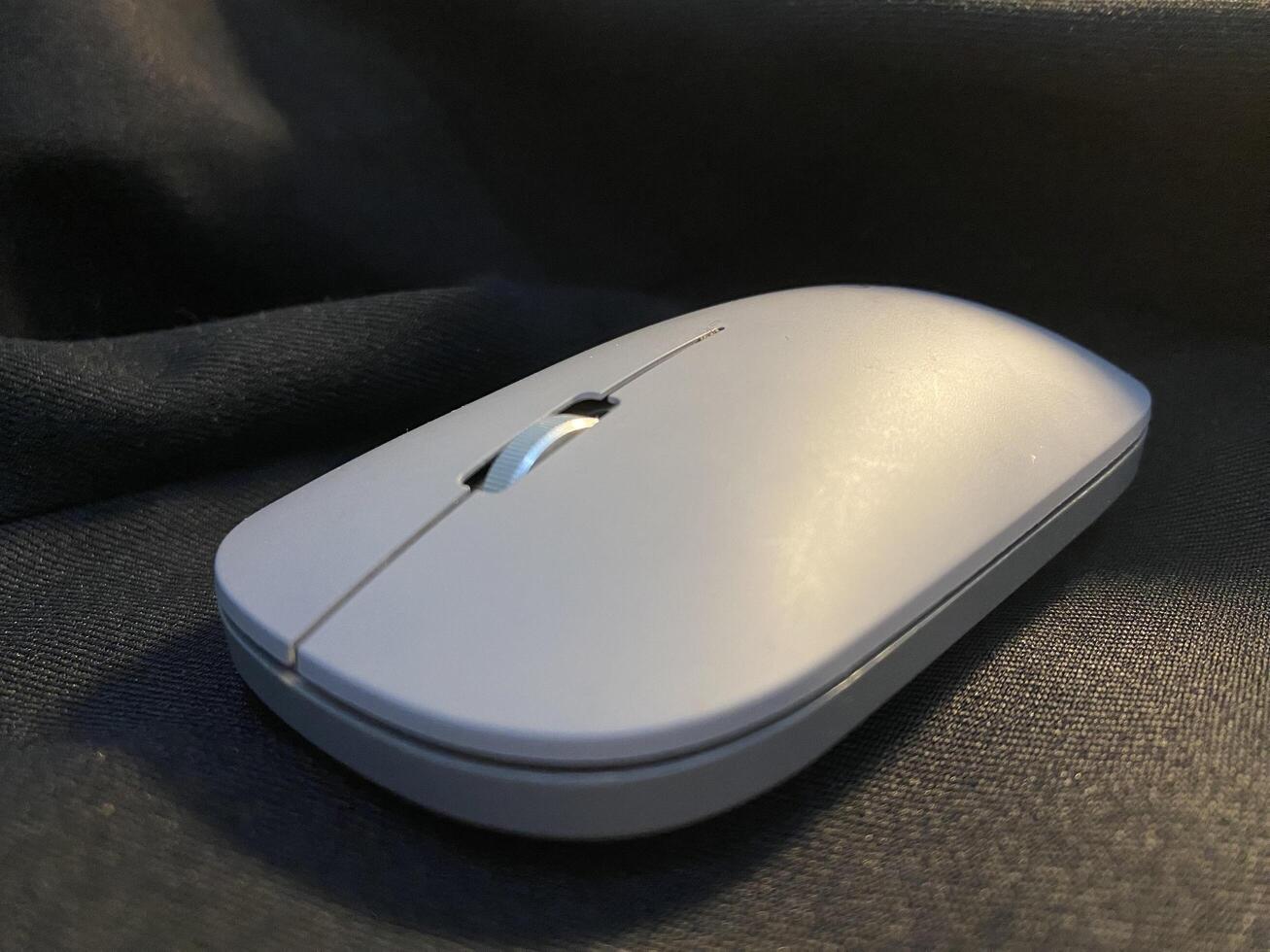 Grey Mouse With Black Background photo