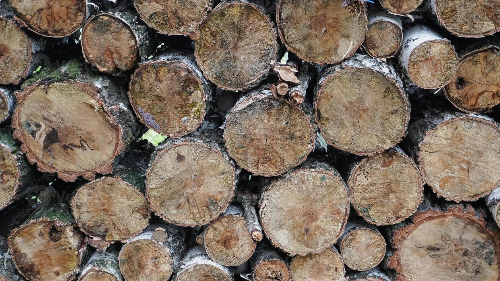 Natural wooden background - closeup of chopped firewood. Firewood stacked and prepared for winter Pile of wood logs photo