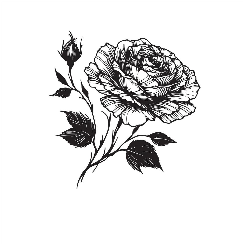 Minimalist Black Rose Silhouette with Curled Stem and Leaves vector