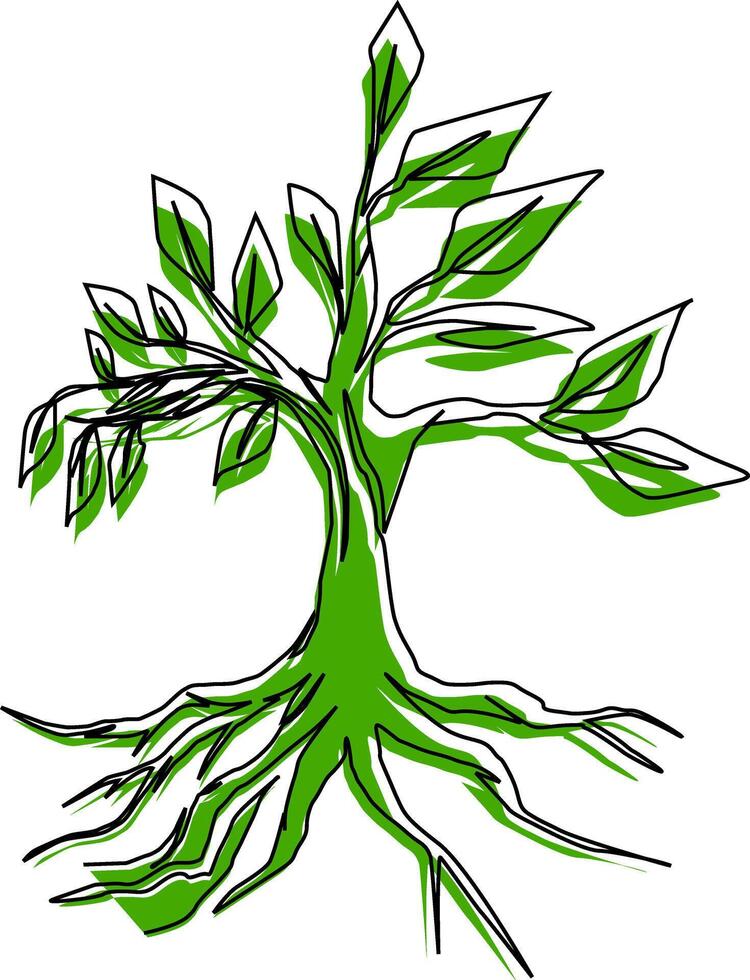 Illustration of a tree with a black outline and green splash vector