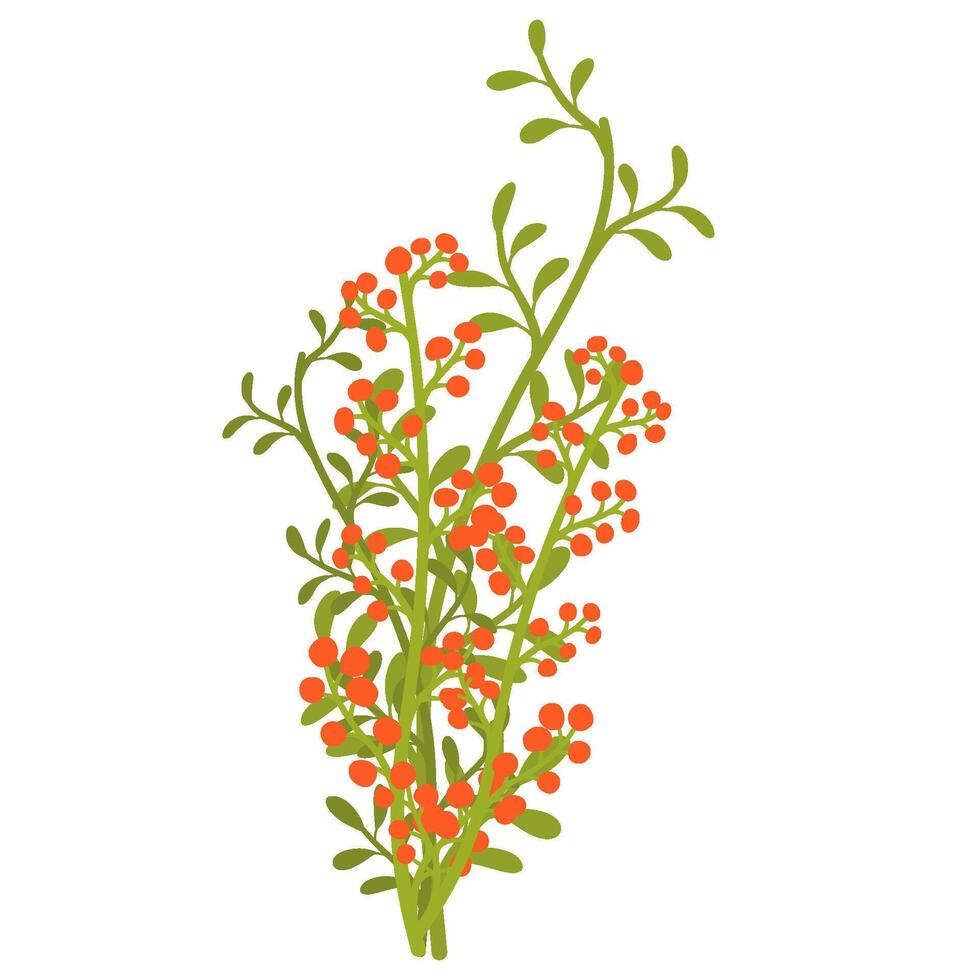 a bush with red berries and green leaves vector